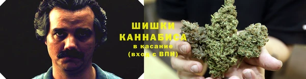 2c-b Алзамай