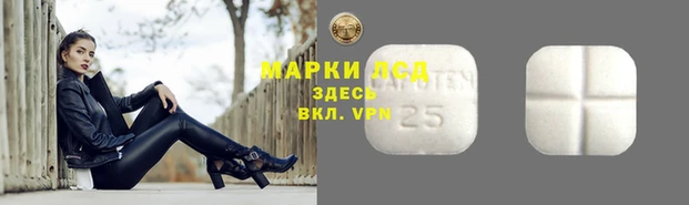 спиды Алексин