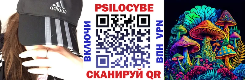 ссылка на мегу ТОР  Пошехонье  Псилоцибиновые грибы ЛСД 